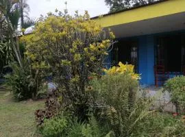 RoomsMagisPalmera