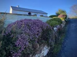 Cottage 479 - Clifden