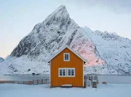 The Famous Yellow House