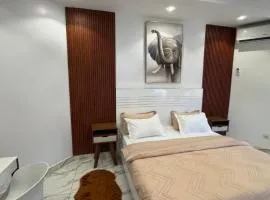 logement luxueuse au pieds du monument de la renaissance africaine