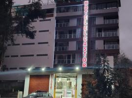 Hotel El Castor，位于瓦拉斯的酒店