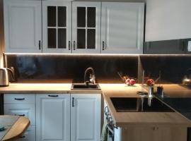 Apartament 2 pokoje，位于奥斯特罗维茨的酒店