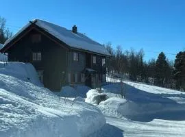 Spacious cabin with beautiful Geilo views