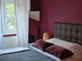 Cosy Appartement Complet centre-ville Montbéliard