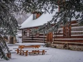 Przystanek Ropienka Chata Łemkowska