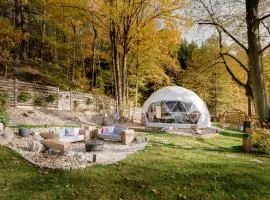 ForRest Glamp MiMo