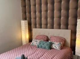 Appartement hyper-centre Stella