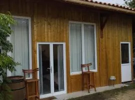 Studio 2