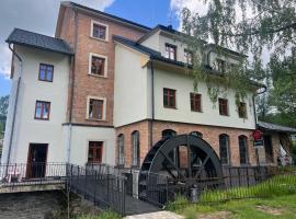 Feltlův mlýn v Borovnici，位于Borovnice的酒店