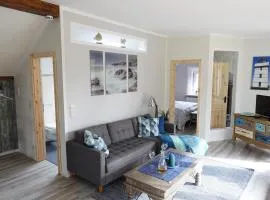 Meer-Zeit-OG-Seepferdchen