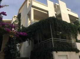 Apartments and rooms by the sea Drasnice, Makarska - 22573，位于Drašnice的酒店