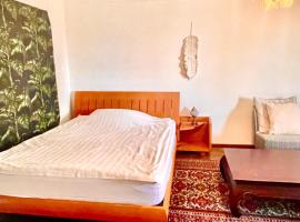 Zurich at the Lake double room in historic house shared Bath，位于Kilchberg的酒店