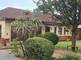 Solomon bnb