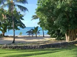 Anse des Rochers 50 m de la plage TI KAZ A NOU