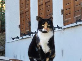 Maison MayRose CIR 42，位于安泰伊-萨伊恩特-安德尔埃的酒店