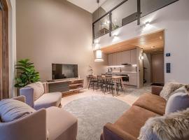 Horizon Chalet Ski-in Ski-out by Aavalevi，位于列维的木屋