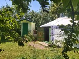 Ffynnonwen Eco Glamping