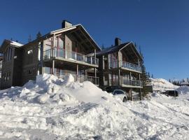 Exclusive Apartment in Björnen，位于奥勒的酒店
