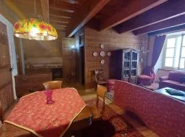 Apartment with fireplace in the city center