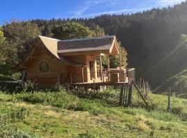 Cabane Insolite de la Semine，位于La Pesse的木屋