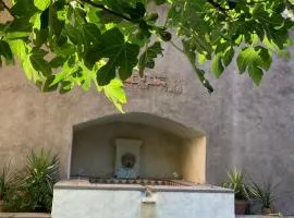 Mas de silvacane