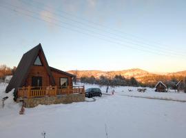 AA Pine vikendica za izdavanje u srcu Zapadne Srbije，位于新瓦罗什的木屋