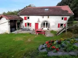 Maison spacieuse à Arrentès-de-Corcieux avec jacuzzi