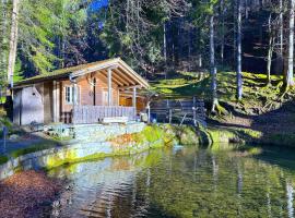 SwissHut Idyllic Farm Cabin - Chalet Grabenmuhle 2，位于锡格里斯维尔的酒店