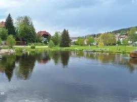 Ferienwohnung in Schonach Schwarzwald