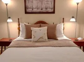 Lily Pad North at Loon Lake near Gore Mountain