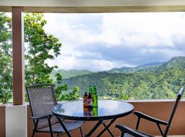 Misty Hills Retreat，位于Stony Hill的酒店