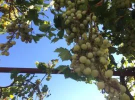 Casita Azul Homestay