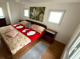 Grandhouse Apartment Switzerland，位于Wangen的酒店