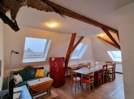 Ferienwohnung über den Dächern im alten Pastorat