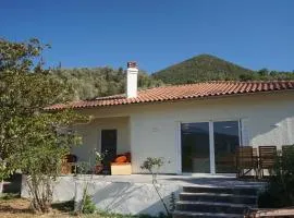 Thalia and Boreas houses