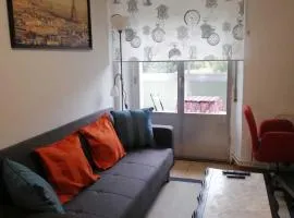 Piso Rio Nervión 15 Minutos Bilbao