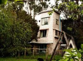 Unique tree house hideaway