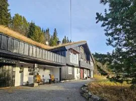 4 Bedroom Beautiful Home In Hemsedal