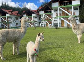 RESORT ALAPA，位于万卡约的酒店