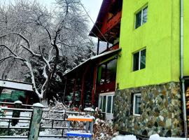 Vila Giulia Voineasa，位于沃伊内亚萨的宠物友好酒店