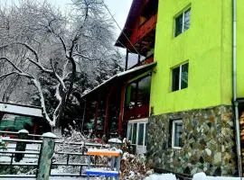 Vila Giulia Voineasa