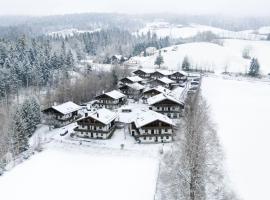 Ferienwohnung Freudensee im Bayerischen Wald - Pool, Sauna，位于豪岑贝格的酒店