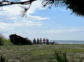 Treimani Hoovimaja，位于Treimani的酒店