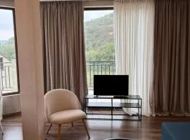 Apartment 17