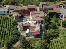 Piccolo Bacco dei Quaroni