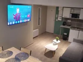 Appartement 5 - Hyper centre - 1 à 4 personnes