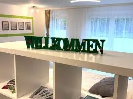 1-Zimmer Apartment in Ochsenfurt