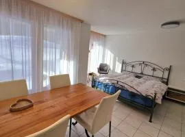 An der Langlaufloipe - Studio Arnica