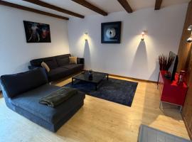 Joli appartement situé à saales，位于萨里斯的酒店