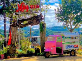 Cơ sở lưu trú nghĩ dưỡng MÂY VILLA，位于大叻的酒店